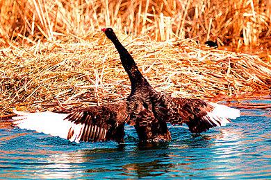 前《战地》总监回应离职：对EA没什么好印象 只有苦难