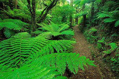 《光环：无限》已被ESRB＆PEGI＆GRAC分级